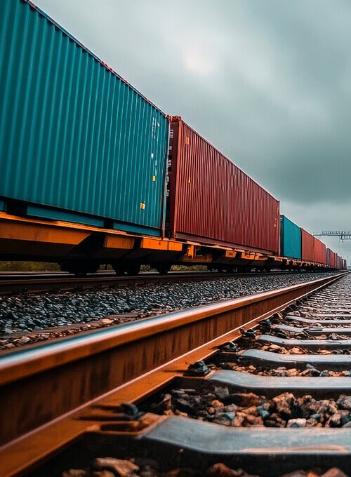 South Coast Exports