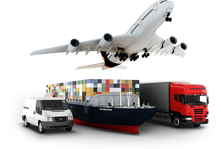 South Coast Exports