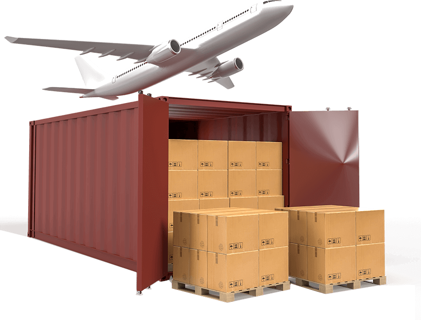 South Coast Exports